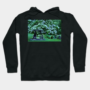 Catalpa tree in bloom Hoodie